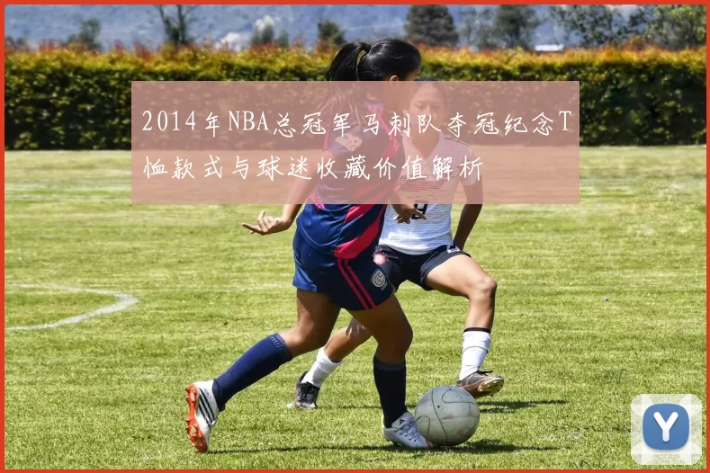 2014年NBA总冠军马刺队夺冠纪念T恤款式与球迷收藏价值解析